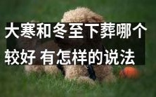 哪个时间更适合进行葬礼仪式:大寒还是冬至?人们对此有何看法和说法?
