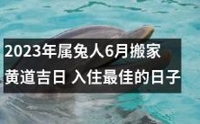 2023年属兔人6月搬家时,选择黄道吉日入住,找到最佳的住宅之日