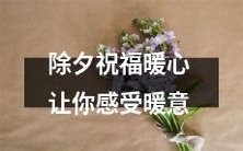 在这个除夕,送上暖心祝福,让你感受到温暖的力量和心灵的抚慰