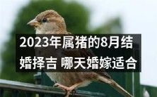 建议2023年属猪的新人在8月选择合宜的日子举行婚礼:哪些日期最适合猪年8月结婚?