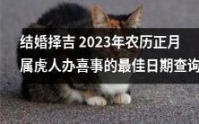 2023年农历正月属虎人结婚择吉日期查询:寻找办喜事的最佳时机