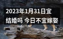 今天不宜嫁娶:探讨2023年1月31日的结婚吉凶宜忌问题