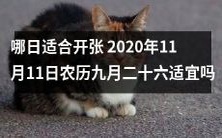 经验总结:2020年11月11日农历九月二十六的时机是否适宜开张?