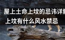 详细解析屋顶建坟的忌讳及上坟的风水禁忌,助你远离不吉之气