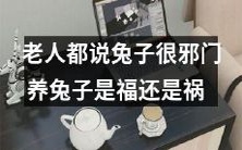 听取老人传说,境遇兔子:是种福是种祸?