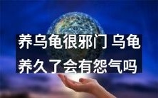 寿动物?养乌龟也需谨慎,否则乌龟会积攒怨气?