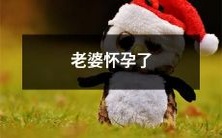 我的伴侣已怀孕:关于我们将要面对和准备的一切事宜的详细介绍