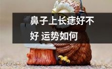 在鼻子上的痣对运势有何影响,会给你带来好运还是不好呢?