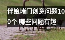 伴娘们困扰问题创意100例,哪些问题最具趣味?