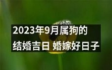 2023年9月属狗人的结婚黄道吉日推荐,适宜举办喜庆婚礼的八字好日子