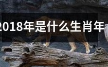 根据中国传统生肖,2018年属于哪个动物年,即哪种生肖在2018年会主宰世界的运势?