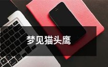 在睡梦中不期而遇的神秘生物:自己亲身体验梦见猫头鹰的感受和惊艳!