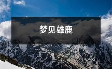 在梦中看到巍峨的雄鹿,令人惊叹的梦境!