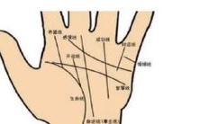 手指肚饱满是一种令人羡慕的特征,它代表什么呢?