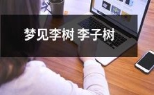 做梦时见到李树和李子树,心中不禁升起几许迷失与探寻的情感