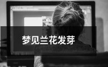 梦见兰花苗在土里萌发出嫩绿丝丝的幼芽,或者说梦到兰花幼芽的发芽过程,令人激动不已!