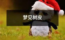 如梦如幻的体验:睡梦中的景象漫游,发现神秘梦景中的树皮奇观!