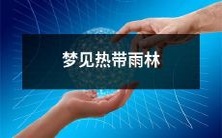 沉浸在神秘的热带雨林中:探索梦境中的幻想世界