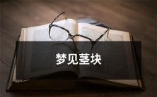 梦见一个茎块的意义与解析:探究植物的生命力及其对梦境启示的影响