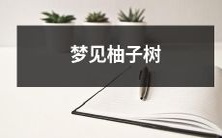 在梦中看到了翠绿欲滴、长满美丽柚子果的枝繁叶茂的柚子树:我的意义和象征意义