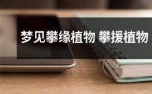 梦见自己身处攀缘植物丛林中,眼前簇拥着绝美的攀援植物,仿佛置身于睿智自然的大观园之中