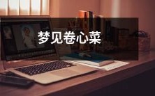 做成口感绝妙的香气扑鼻的美食,惊喜于梦中浮现的卷心菜美景