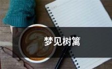 在深夜梦境中闪现的美丽树篱:神秘、宁静和毫无预兆地出现在你的梦中!