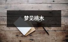 在梦中遇到桃木,感受到神秘力量的涌动和无穷可能的启示!