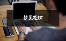 在梦中见到高大挺拔的翠绿松树,那种美轮美奂的场景仿佛带着无穷生机和深远意义的象征!