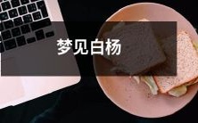 在清晨苏醒前梦见优美的白杨树在微风中飘舞的美妙体验