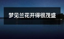 做梦时眼前盛开的兰花,花朵茂盛而绚烂瑰丽的惊人场景