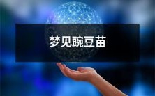 在梦中看到豌豆苗,预示着你的生活将迎来新的生长与繁荣!