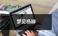 在轻轻摇曳的杨柳下醉梦:我在梦中邂逅了诗意满溢的自然风景