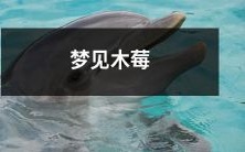 入梦幻境,探索神秘木莓世界:怪异植物、异想天开的生态环境以及诱人美味的水果盛宴