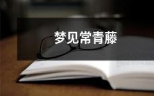 绽放鲜花的常青藤:探究梦中寓意与心理象征的美妙奥秘