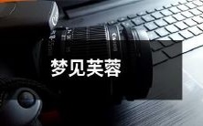 湖畔开放的芙蓉花,苍鹰翱翔的梦:一个关于自然美景与惊奇幻境的梦见芙蓉的故事