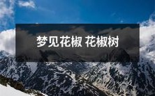 在梦中经历神秘奇妙的花椒花椒树幻境