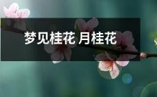 在月光下盛开:一场桂花梦中桂花缤纷的奇幻之旅