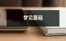 在梦中遇见神奇的蘑菇的奇幻故事