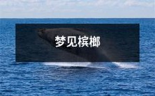 栩栩如生的场景!我在梦里看到了充满热带气息的槟榔树林,感受到了槟榔果香扑鼻,仿佛身临其境!