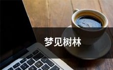 在梦中探索的神秘树林:探寻神秘之路的奇幻体验