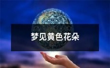 梦中缘起:探索黄色花朵的象征意义与潜在启示
