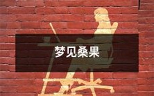 在梦中看到了桑果的美好景象,如此真实而神奇的经历