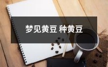 在梦中看到自己种植黄豆并产出黄豆成熟的详细经历描述