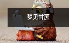 在梦中看到了起伏的甘蔗,那美丽且充满生机的植物覆盖着整个场景,让你迷茫于深邃的象征和美妙的感受中