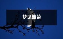 在我睡梦中,我经历了奇异的梦境,梦见了无尽绵延的田野上盛开的雏菊海洋,青青翠翠,又清雅又引人遐思