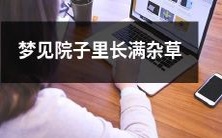 梦见自己的院子里长满了茂盛且茂密的杂草,不由得感叹生命力的无穷韵味!