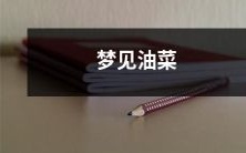 田野里一朵朵绵延无尽的金黄色花海——我梦见了油菜花田!