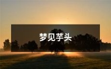 我做了一个奇幻梦,梦见了一大堆鲜美的芋头,这真是太神奇了!