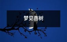 在梦中经历的神秘之旅——沐浴在杏树下,探索内心的奥妙和生命的真谛